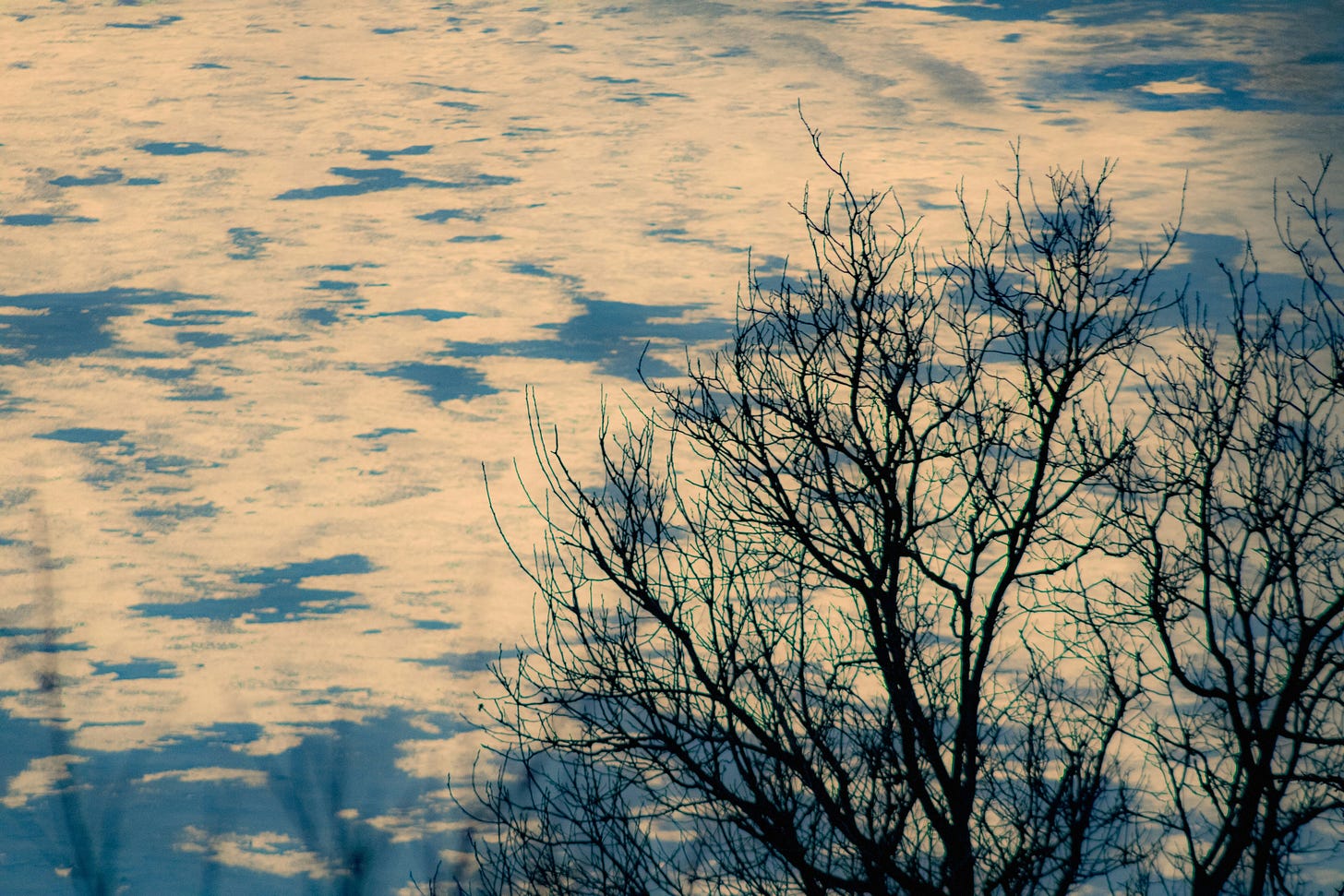 a water surface reflects a blue sky with sparse white clouds and the branches of a naked tree. a water surface reflects a blue sky with sparse white clouds and the branches of a naked tree.
