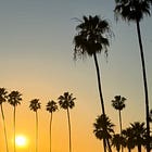 How I Survive A Travel Day