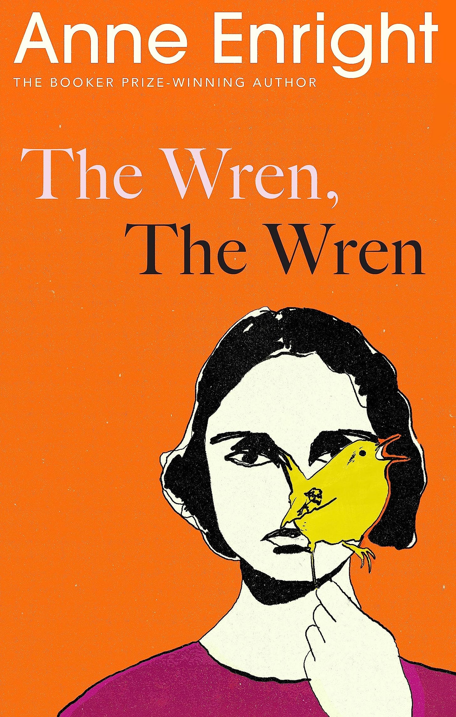 The Wren, The Wren: Shortlisted for the Women’s Prize for Fiction 2024:  Amazon.co.uk: Enright, Anne: 9781787334601: Books