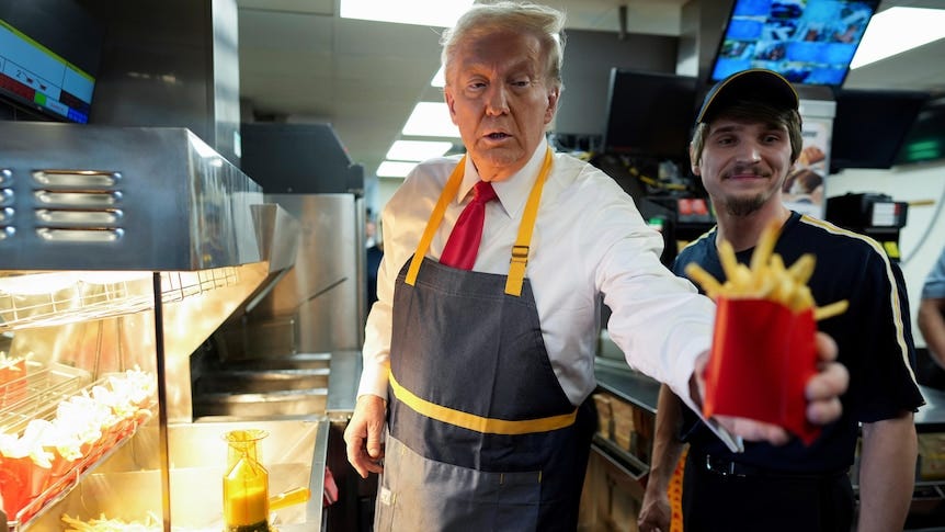 Donald Trump serves McDonald's fries in latest US election campaign  appearance - ABC News