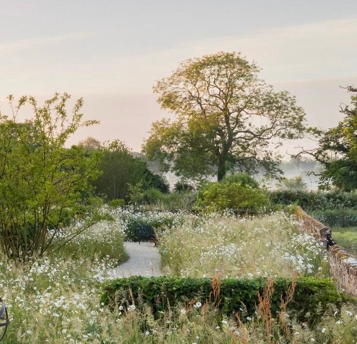 This may contain: an image of a garden setting in the middle of flowers and plants on the ground This may contain: an image of a garden setting in the middle of flowers and plants on the ground