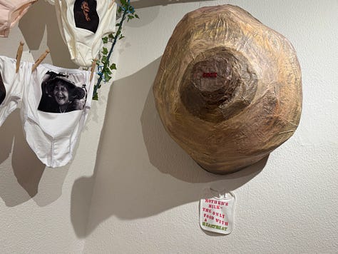 Art Installation with Knickers - Suzy Starlite