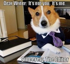 8 Rejection Memes ideas | rejection, memes, social media pins