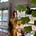Cici Cyr's avatar