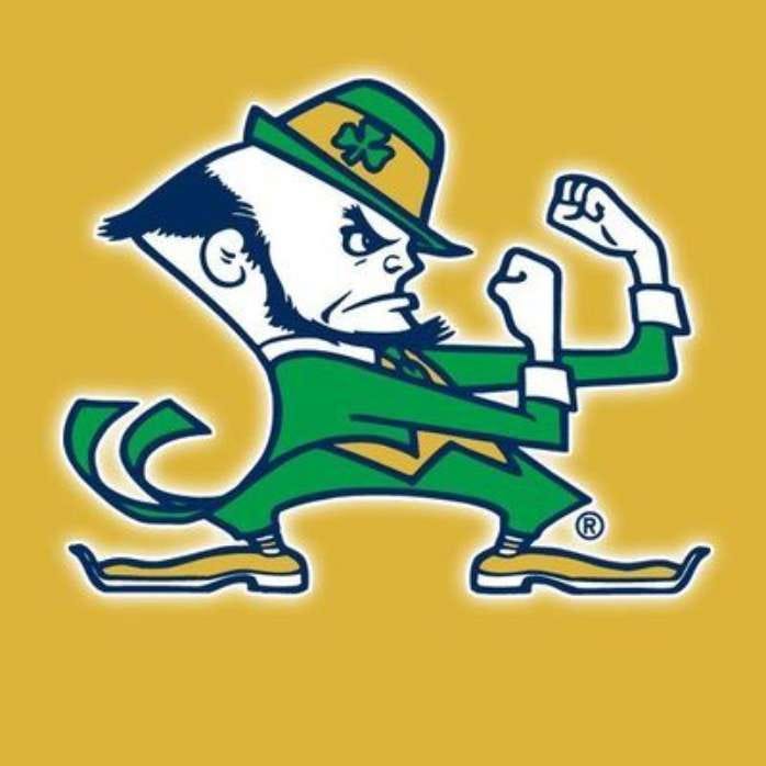 The Fighting Irish: Embracing Tradition and Pride in Irish Heritage The Fighting Irish: Embracing Tradition and Pride in Irish Heritage