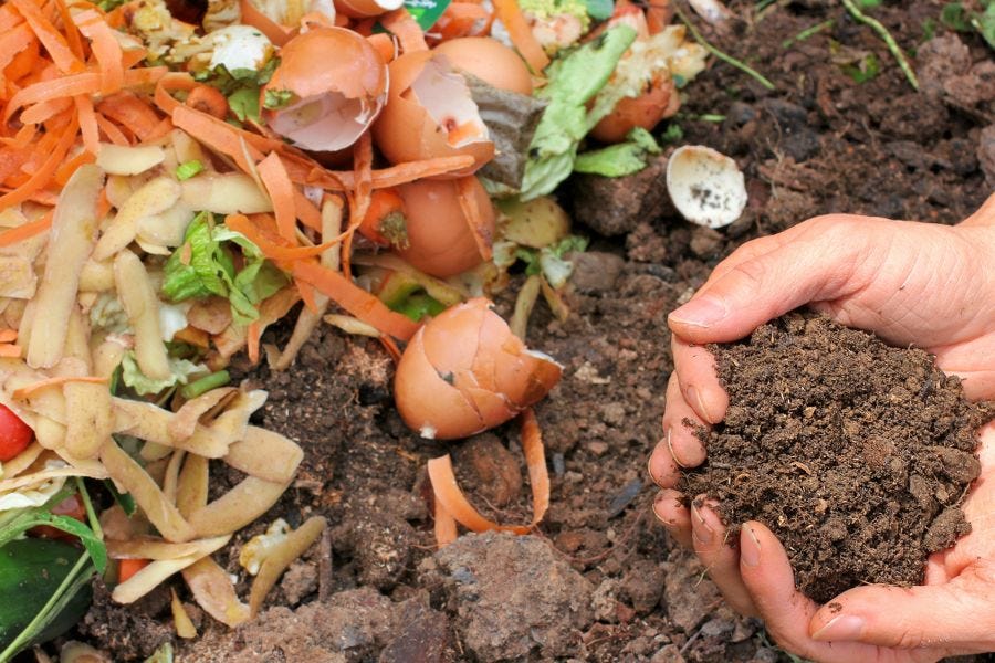 add compost to your potting mix