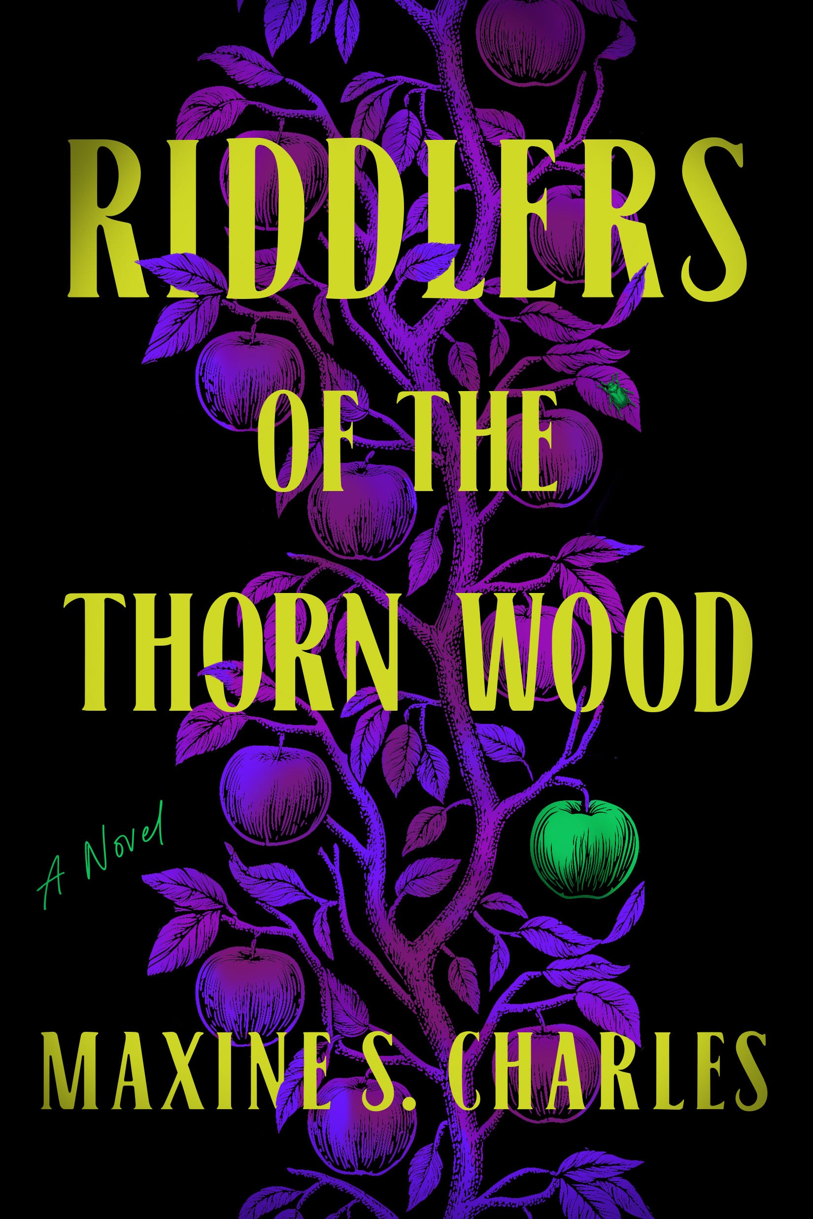 COVER REVEAL riddles 🪶