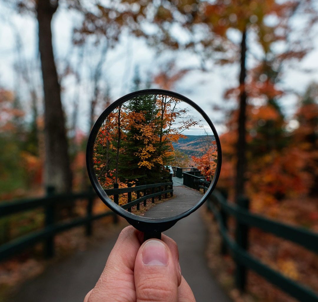 magnifying glass magnifying glass