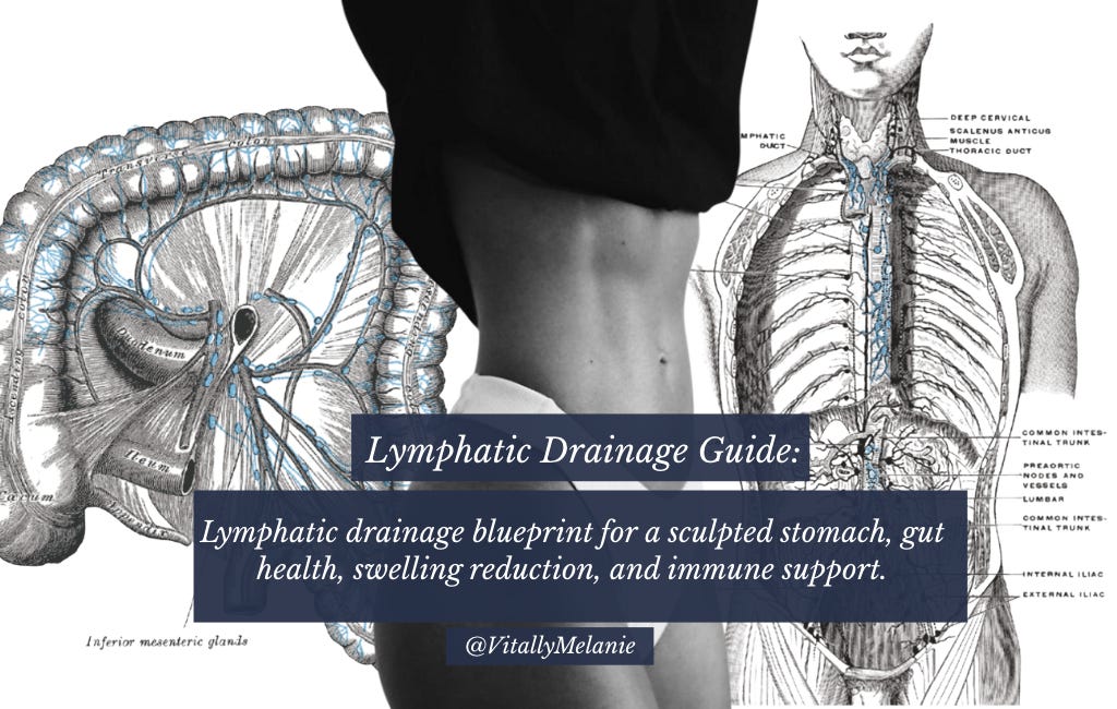 Lymphatic drainage blueprint for a sculpted stomach, gut health ...