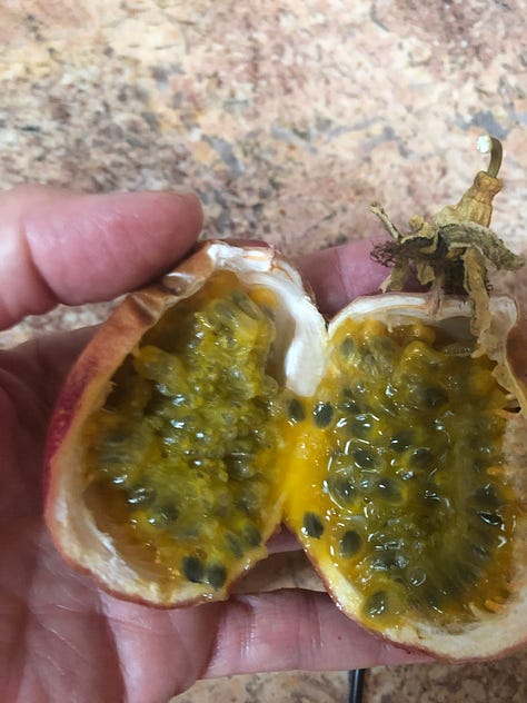 Three photos: a cake with slices of quince on top; passion fruit, which is purple and ribbed (“wrinkled”); the inside of passion fruit, which has a gelatinous yellow fruit with many black seeds.
