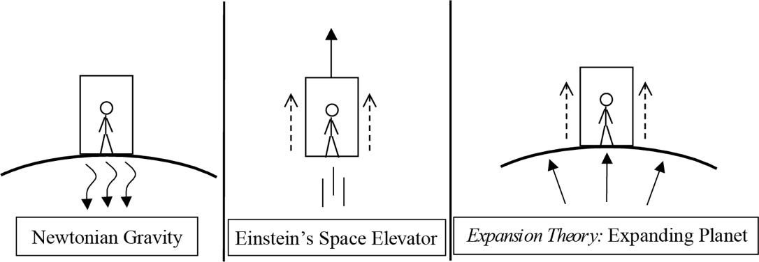 First, Newtonian gravity as a force pulling you to the ground. Second, Einstein's Space Elevator, where being accelerated in space away from Earth, is the same as Newtonian Gravity on Earth (the Principle of Equivalence). Third, Atomic Expansion Theory: Expanding Planet, where the expansion of Earth is pushing you upwards.