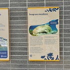 New signage rollout starts at The Spit