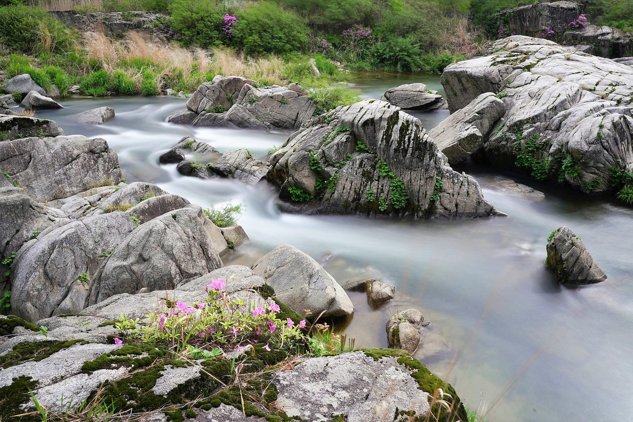 a stream running through rocks