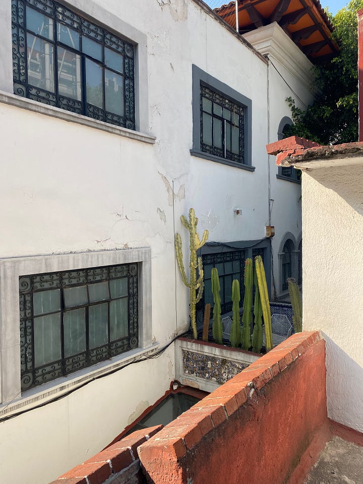 A private courtyard in La Condessa flanked by giant cacti and ornate glass windows. Two queers pose in front of the fountain at the Plaza Rio De Janiero in La Roma.