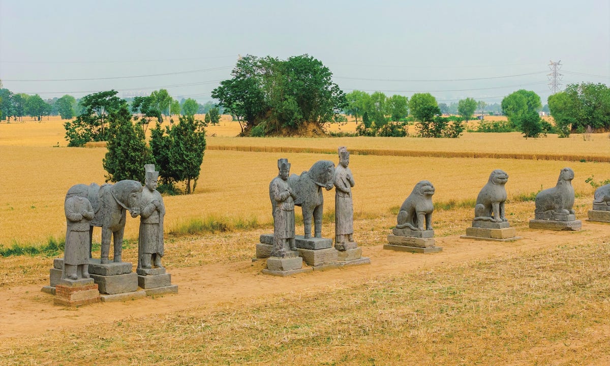 Thousand-year-old stone sculptures from the Northern Song Dynasty in the wheat fields of Gongyi, Central China's Henan Province, on May 29, 2025 Photo: VCG