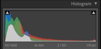 Histogram for the wide-angle scene above showing shadow detail is present and highlights are not entirely blown out.