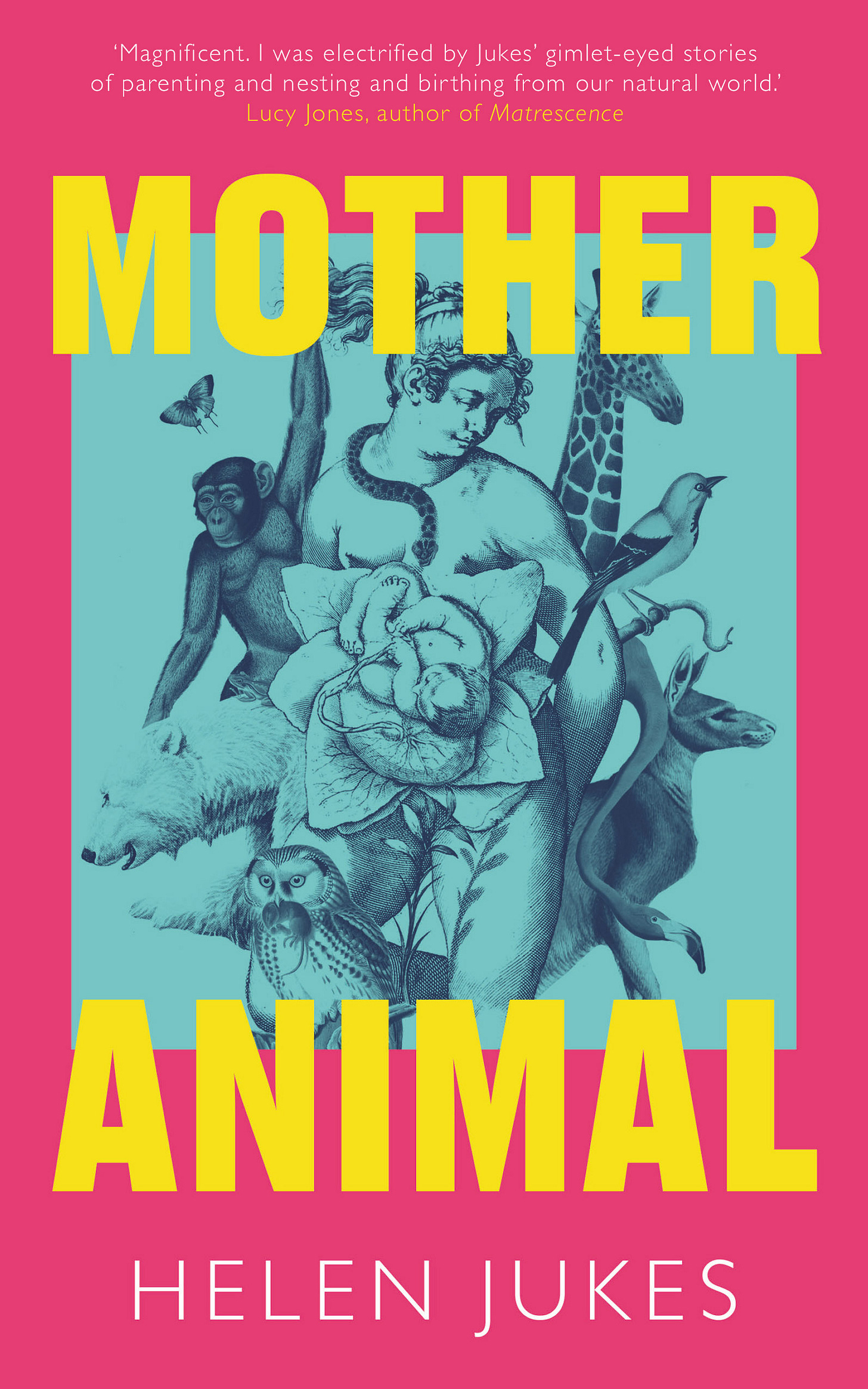 the cover of the book Mother/Animal by helen jukes. it is bright pink with yellow lettering. On the Mother of it all podcast.