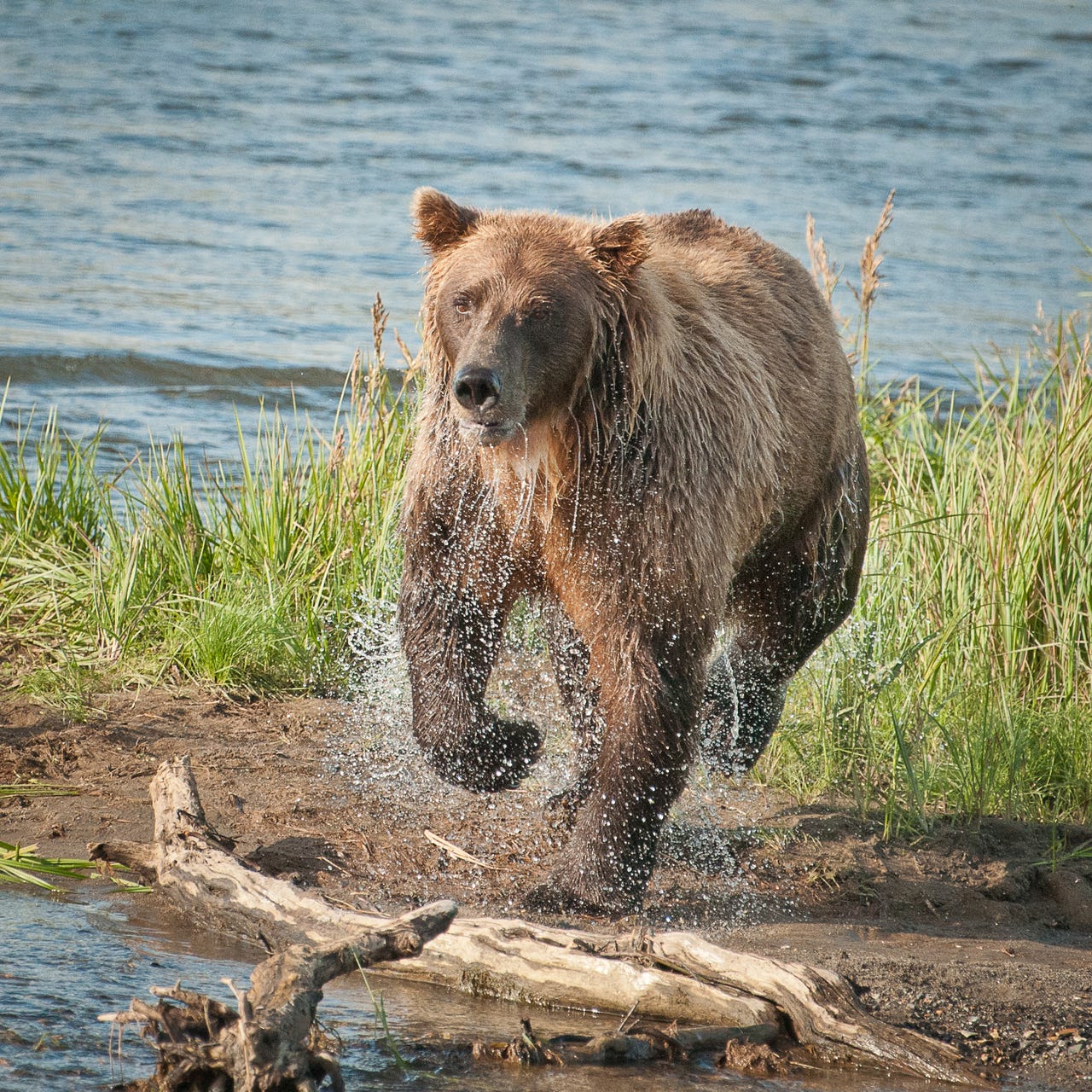 Exploring Nature Photography