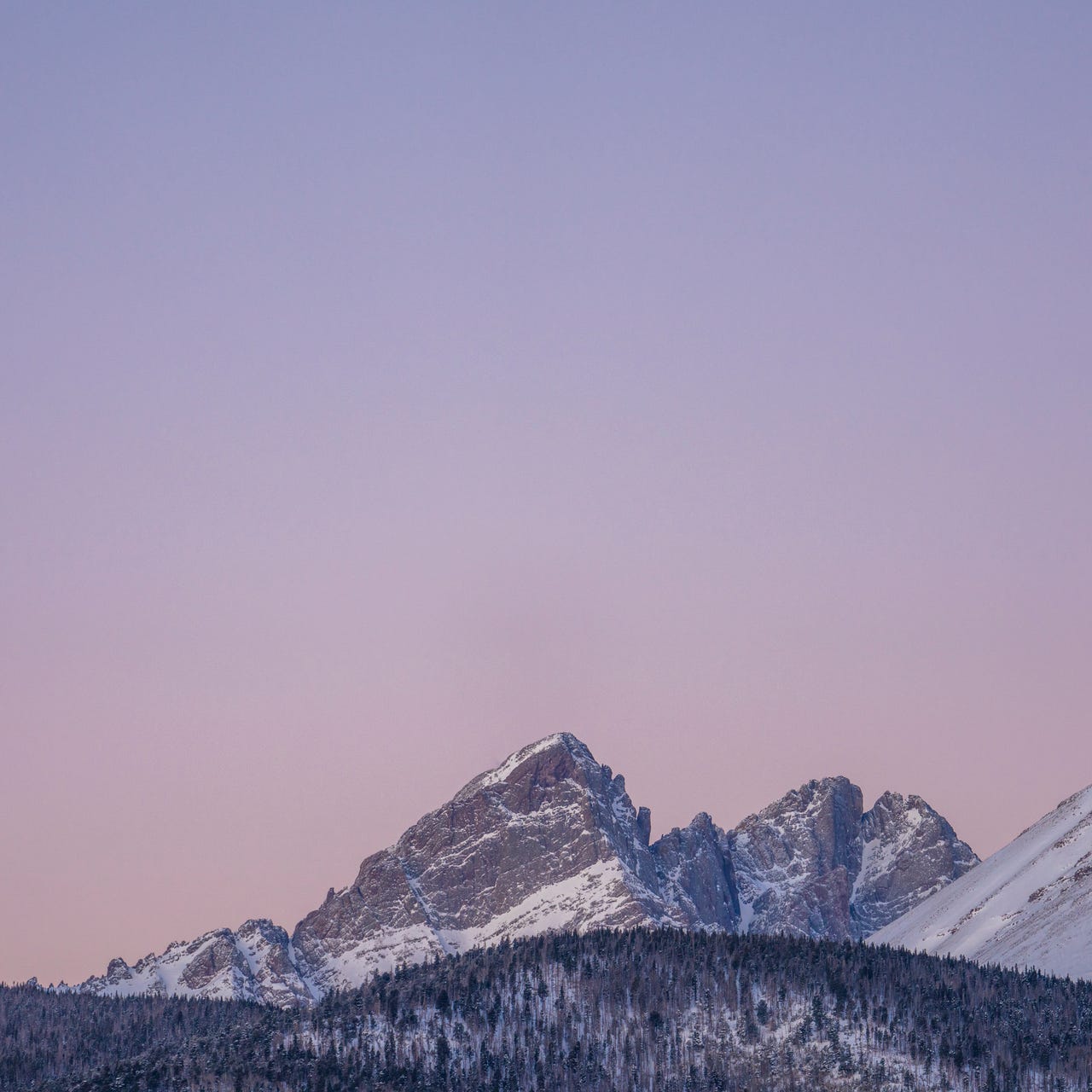 The Next Forty Years