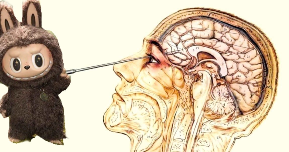 Saunada guruh jinsiy aloqa video