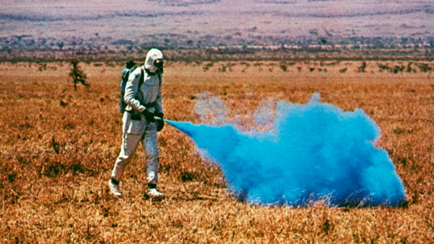 Phase IV
