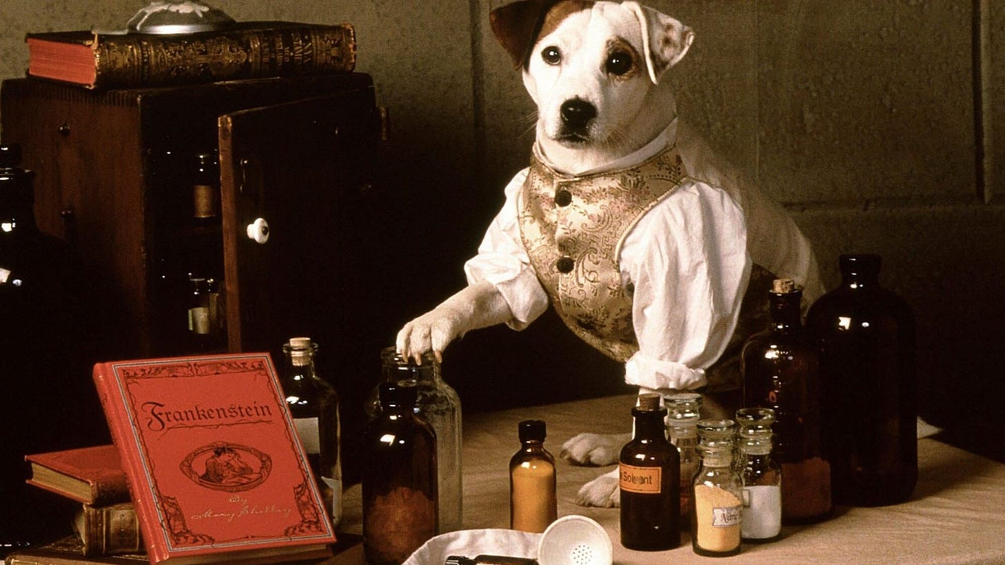 A Wishbone Movie Will Bring the Literary Pup's Historical Adventures to the  Big Screen
