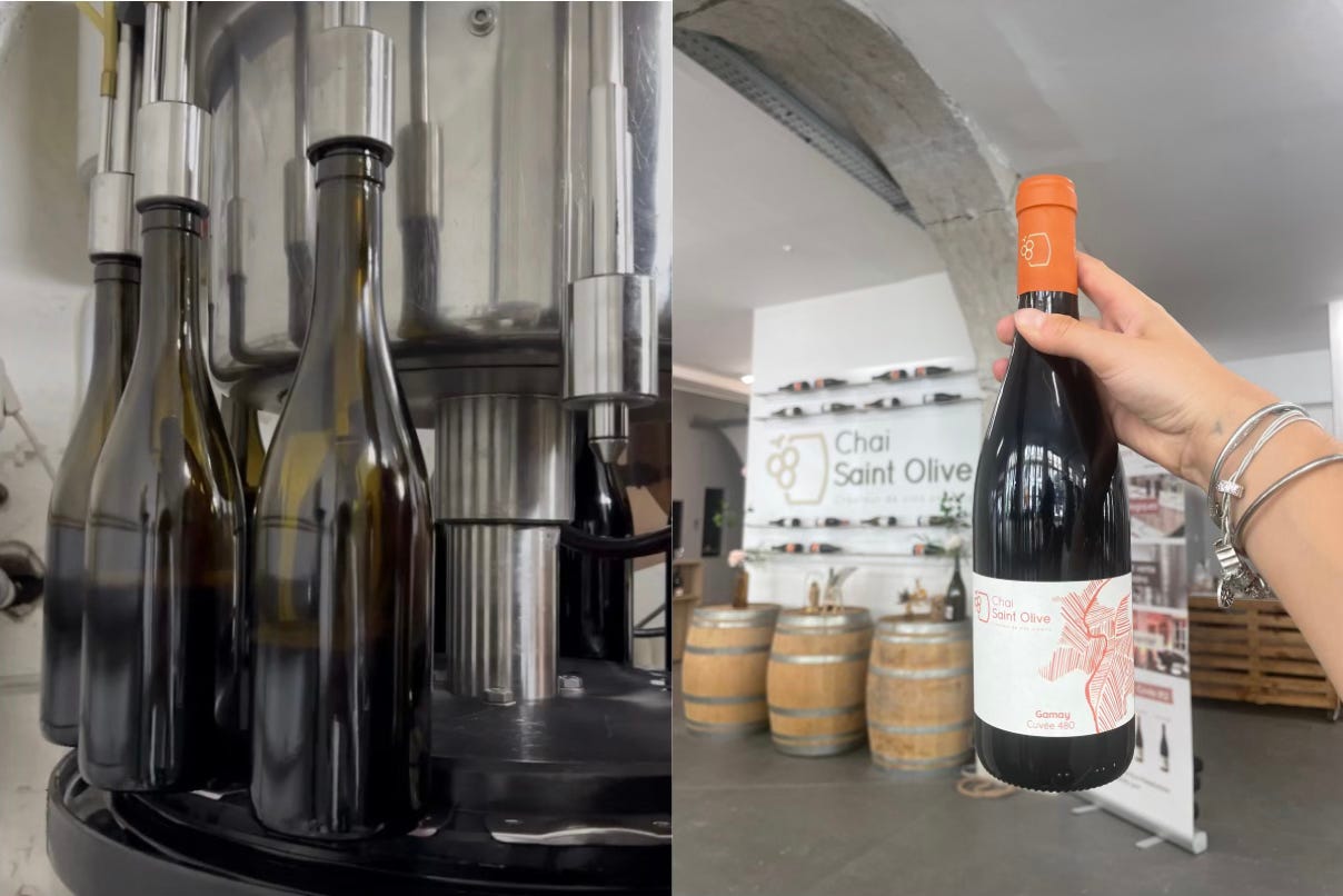 Mise en bouteille du Gamay 480 du Chai Saint Olive