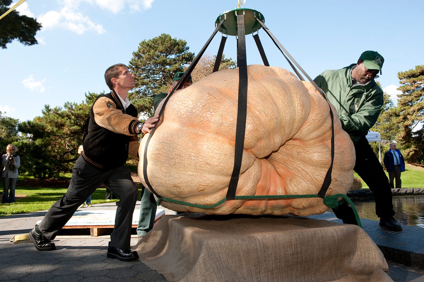 Origin of the Giant Pumpkin - Plant Talk