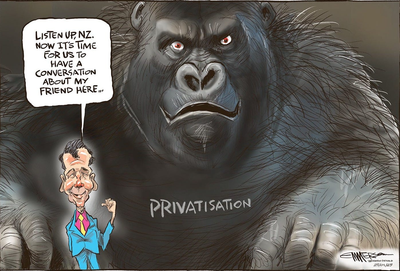 Emmerson cartoon with David Seymour inviting us to meet his friend, a large frightening looking gorilla labelled "Privatisation". Emmerson cartoon with David Seymour inviting us to meet his friend, a large frightening looking gorilla labelled "Privatisation".