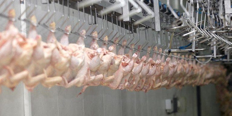 A suspensão dos embarques para a lista de países estava em vigor em razão da detecção de um foco de Influenza Aviária de Alta Patogenicidade (IAAP) no município de Montenegro (RS)