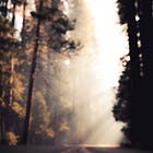 The Journey of Personal Growth 