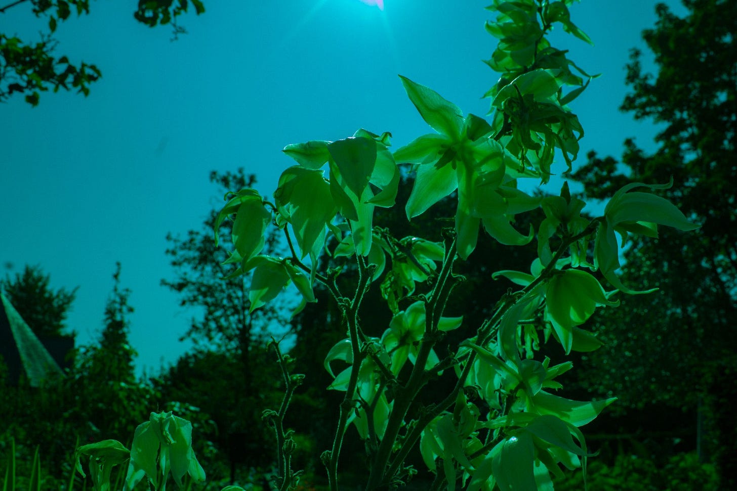 People, Passions & Projects #3: rec.ollections