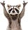 Raccoon of Vengeance on Wonkette