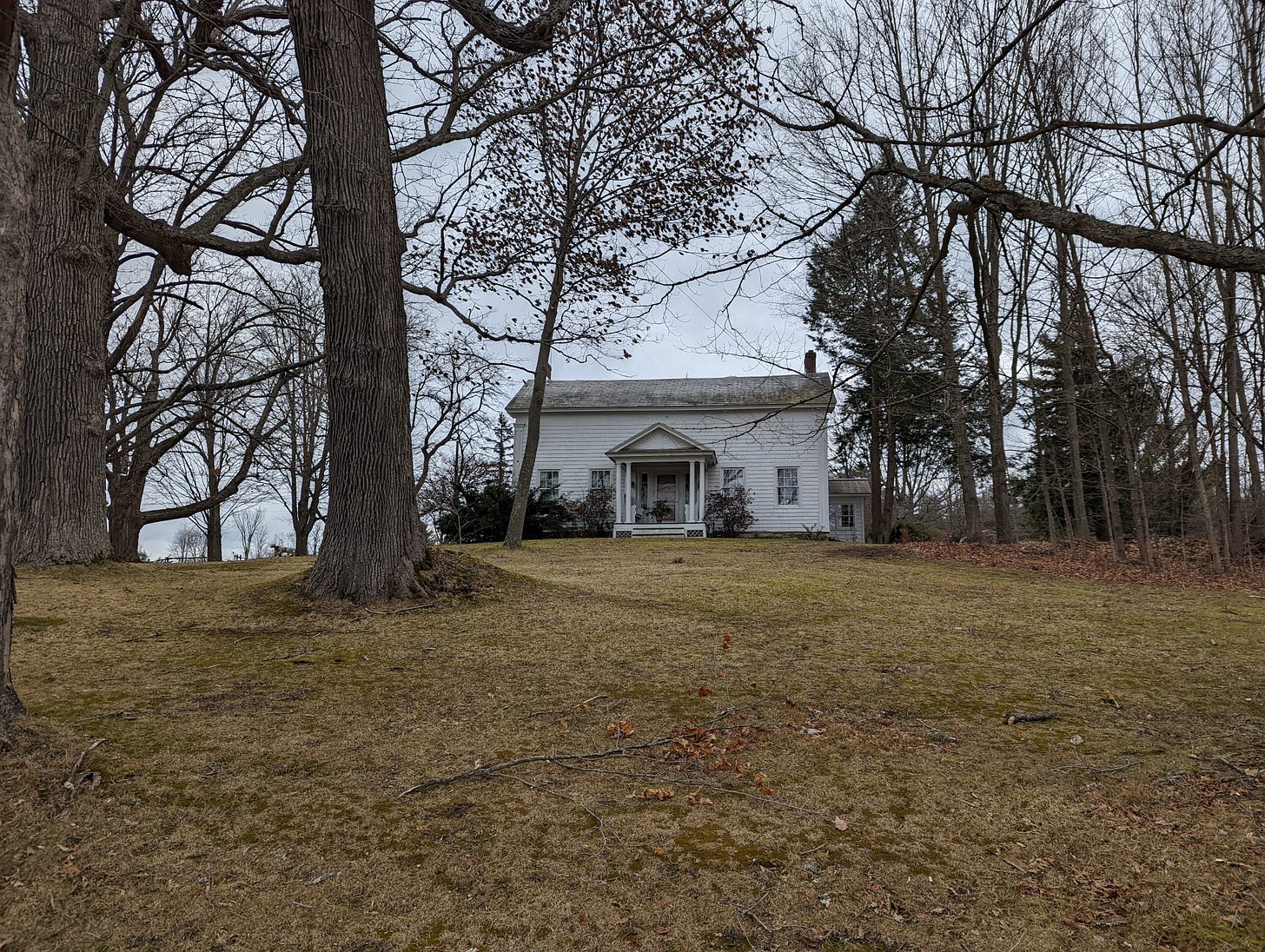 Grandma Moses Home 1 Grandma Moses Home 1