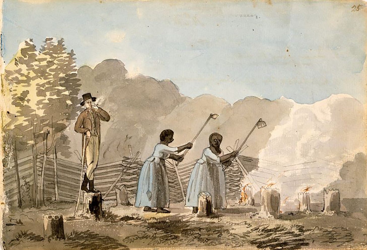 Tobacco Cultivation at Monticello | Thomas Jefferson's Monticello