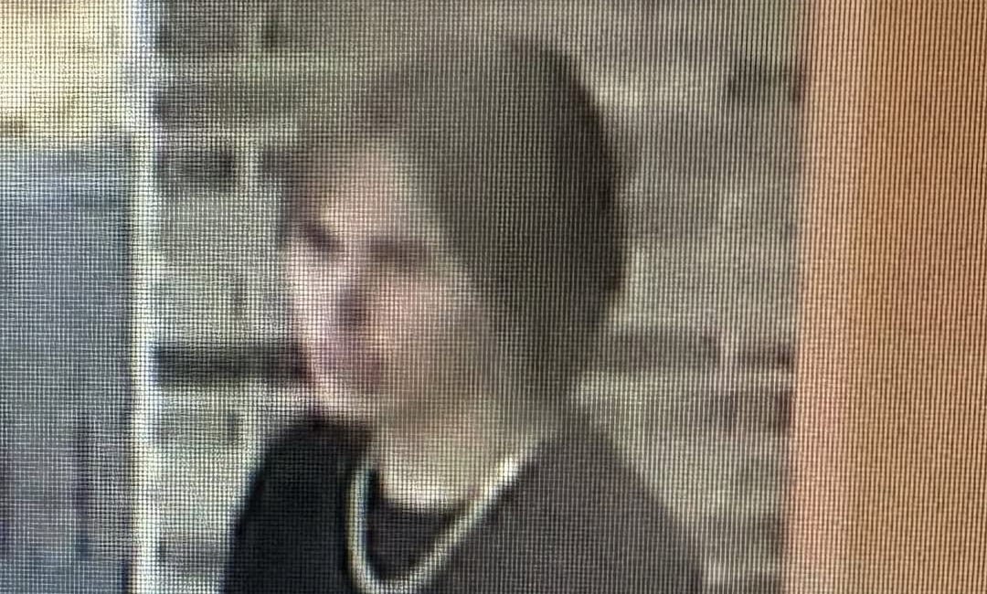 Palmetto Police Seek Public’s Help Identifying Suspects in Sutton Park Restroom Fire