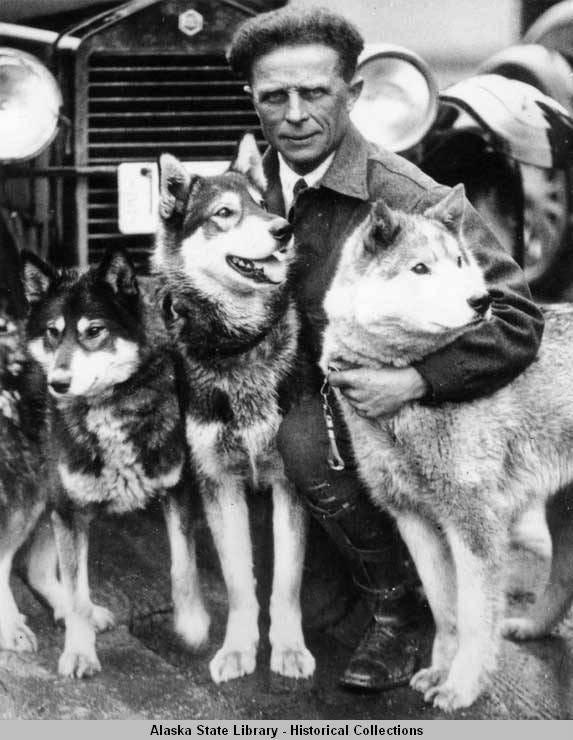Musher poses with three Siberian sled dogs. Musher poses with three Siberian sled dogs.
