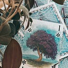 Talking Trees : Jacaranda