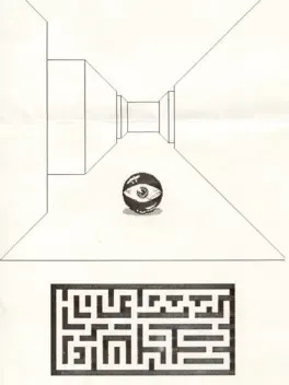 Maze cover