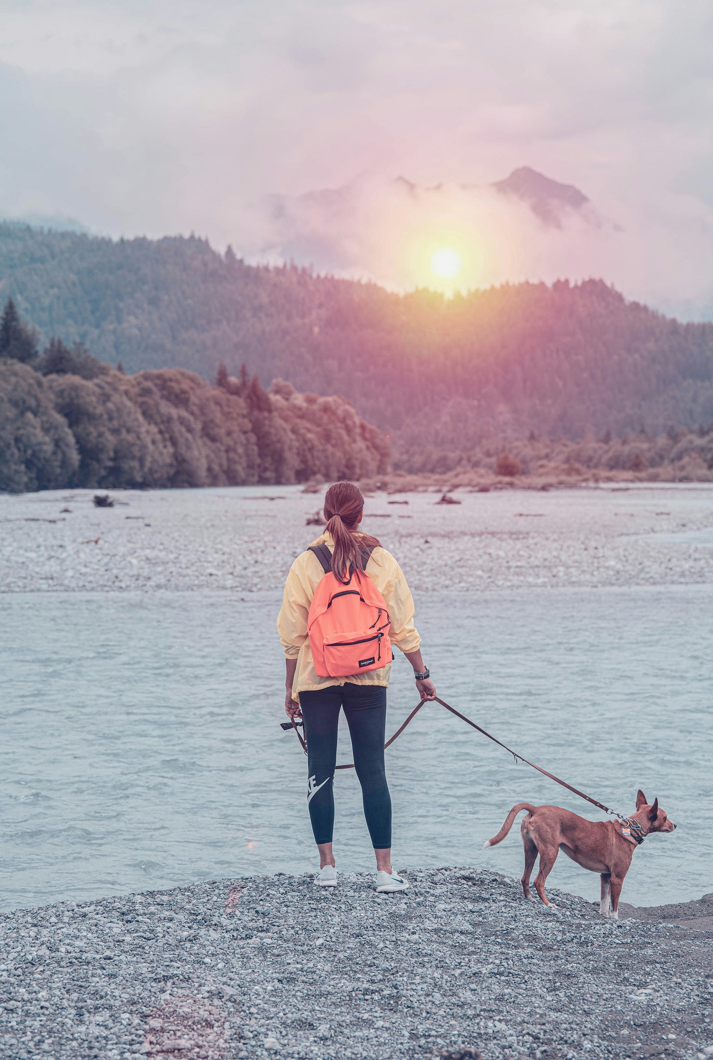 Back of woman with dog on leash standing by a river and looking at the sunset over the mountain