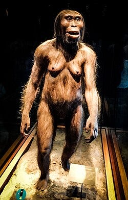 Lucy (hominid) - Wikipedia