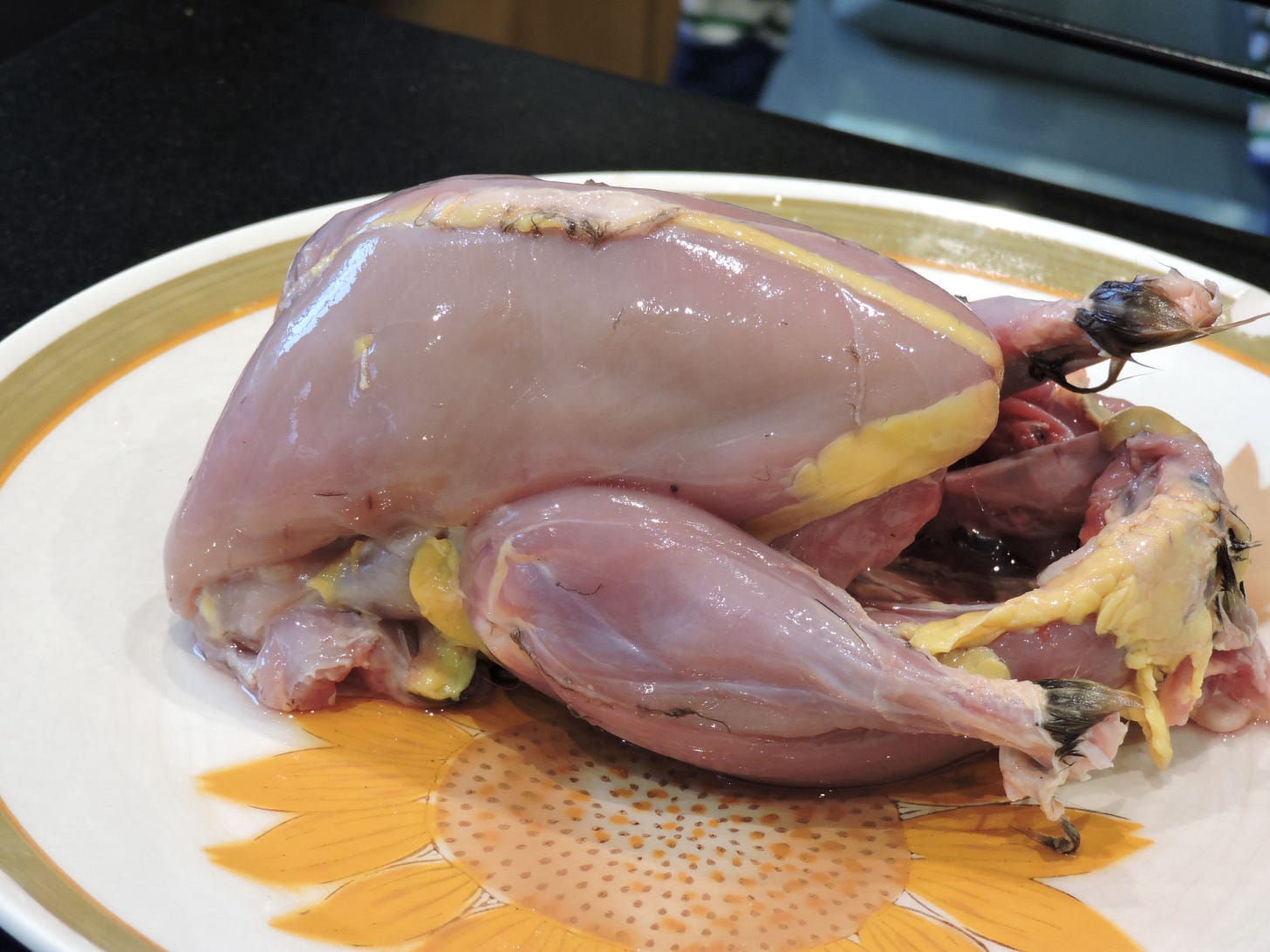 skinned pheasant