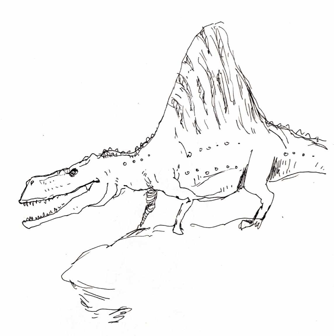 Ink drawing of an arizonasaurus dinosaur.