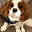 Betsy Scherl's avatar