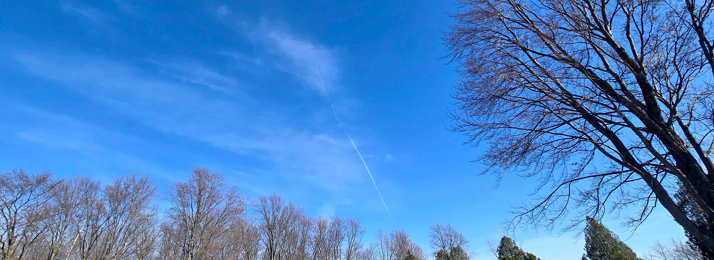 Blue spring sky with thin, wispy clouds and a faint airplane contrail stretching diagonally overhead. Bare tree branches frame the scene along the edges, capturing a calm early‑spring moment between seasons. Blue spring sky with thin, wispy clouds and a faint airplane contrail stretching diagonally overhead. Bare tree branches frame the scene along the edges, capturing a calm early‑spring moment between seasons.