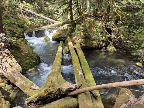 olympic mountain streams
