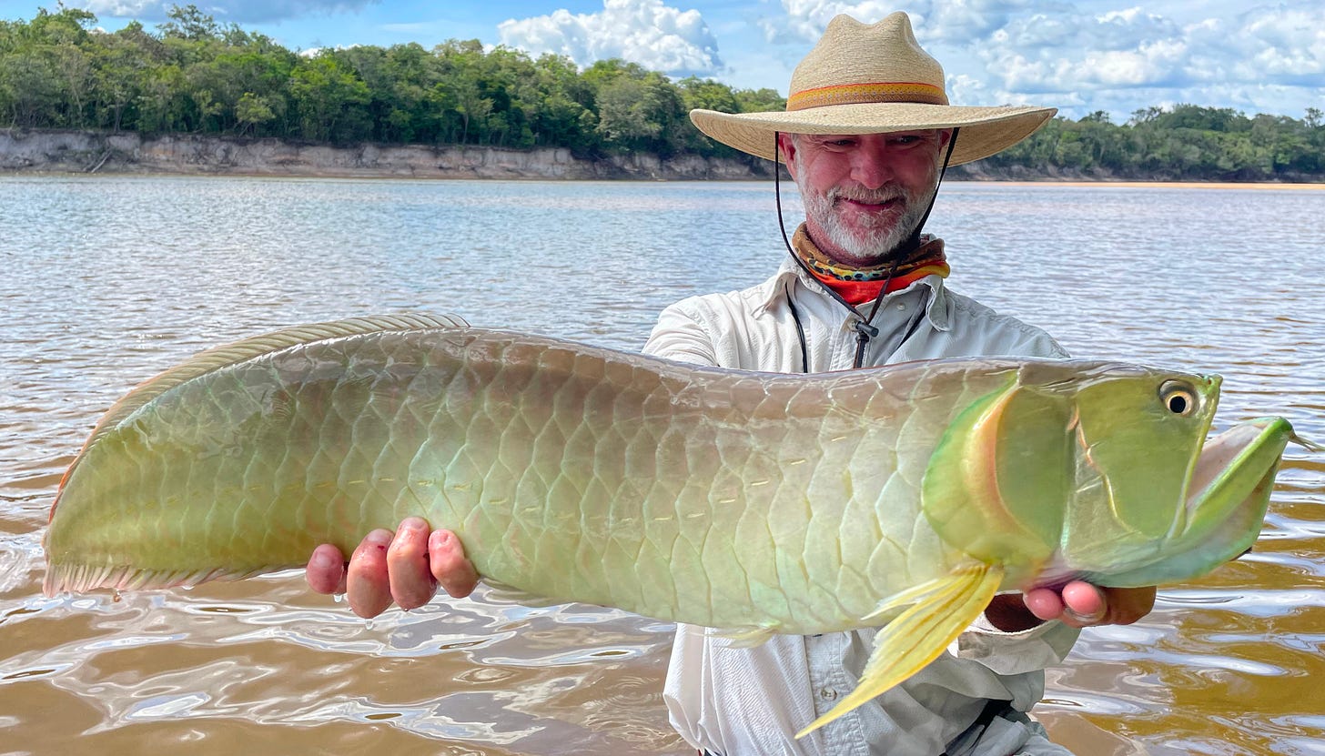 Person holding an Arowana fish standin gin the Agua Boa river in Brazil. Fishing at the Agua Boa Amazon Lodge