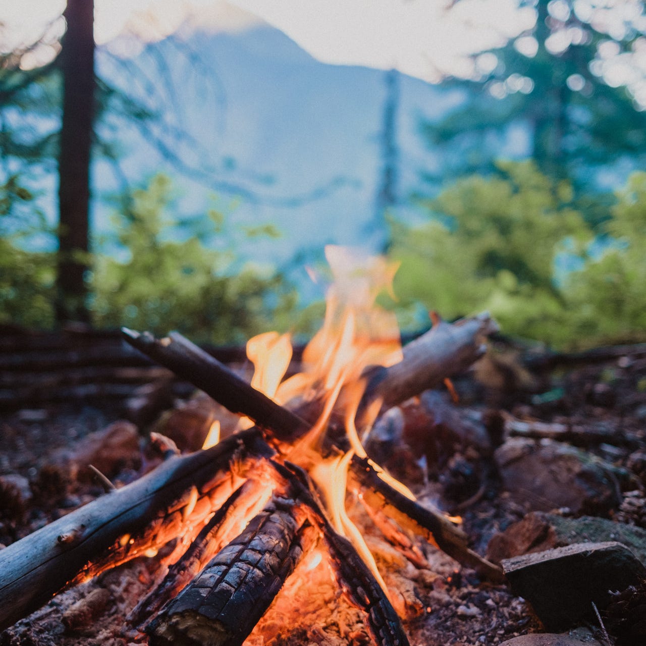 Substack profile picture for @campfire