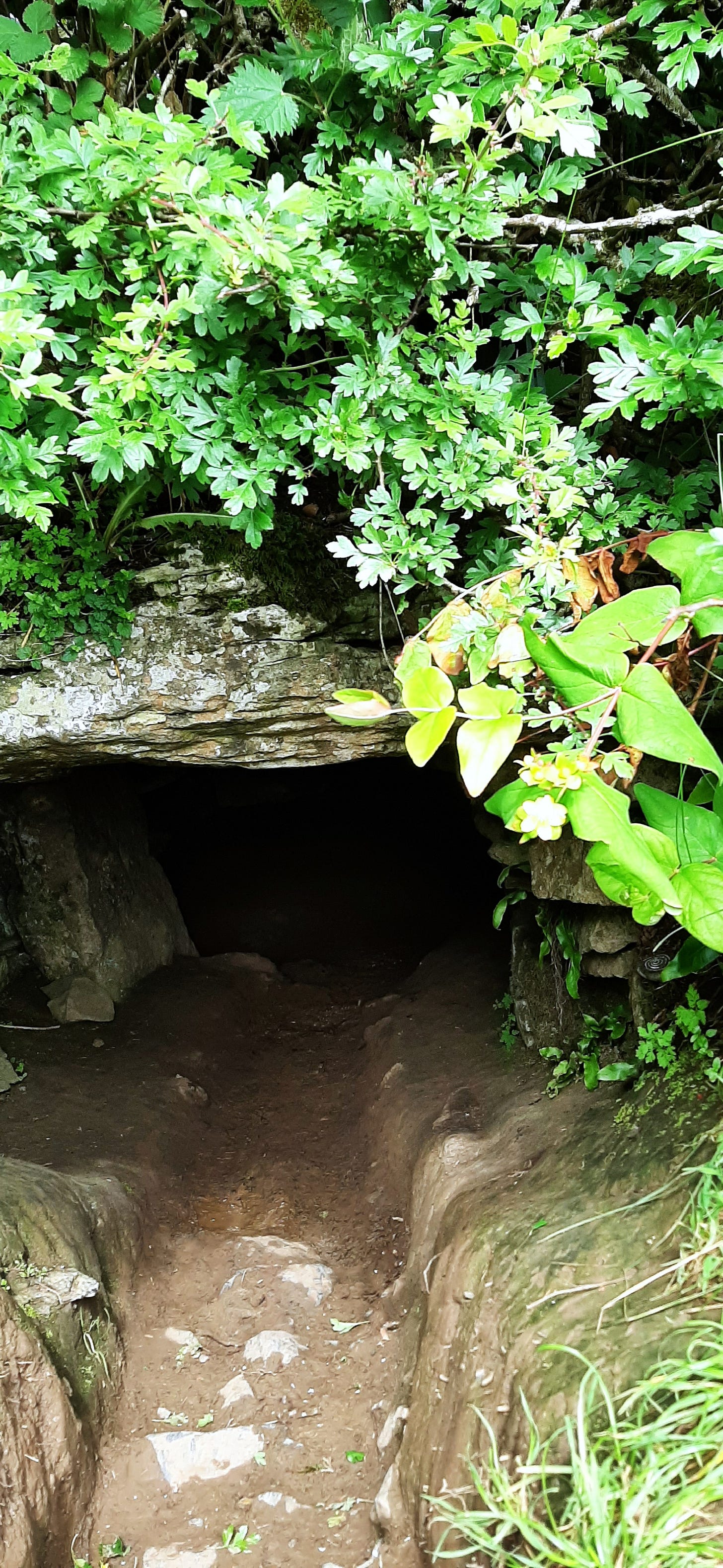 The Creatrix Experience - Oweynagat Cave ©2025 Elizabeth des Roches