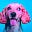 warty dog's avatar